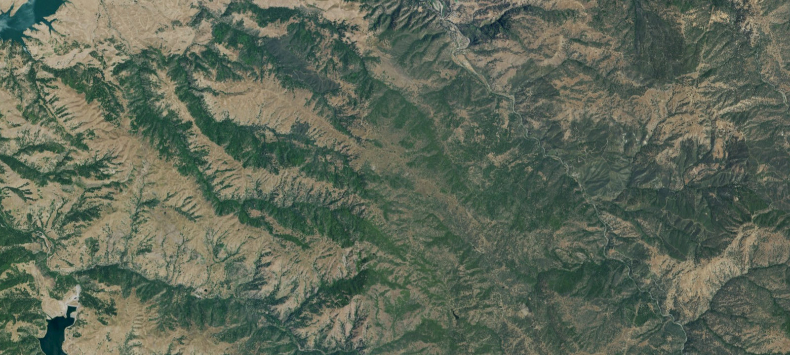 Map of Stewart's Camp