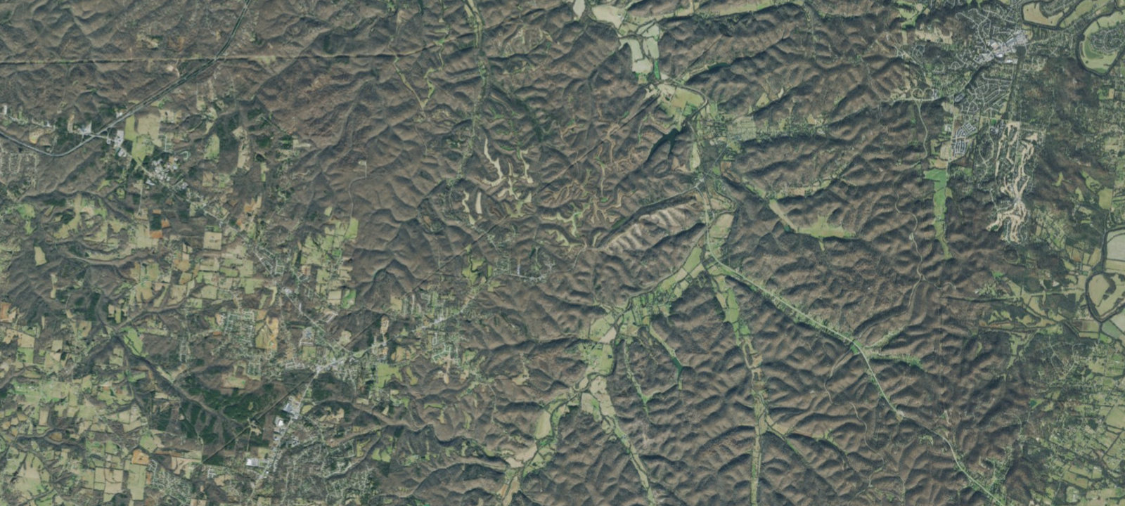 Map of Twin Trees