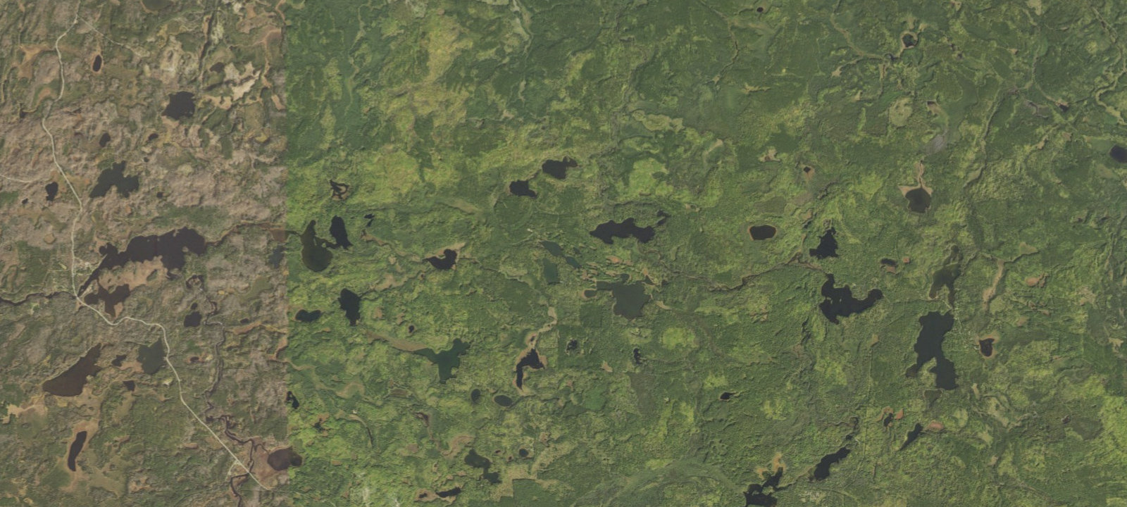 Map of Beetle Lake Site 1