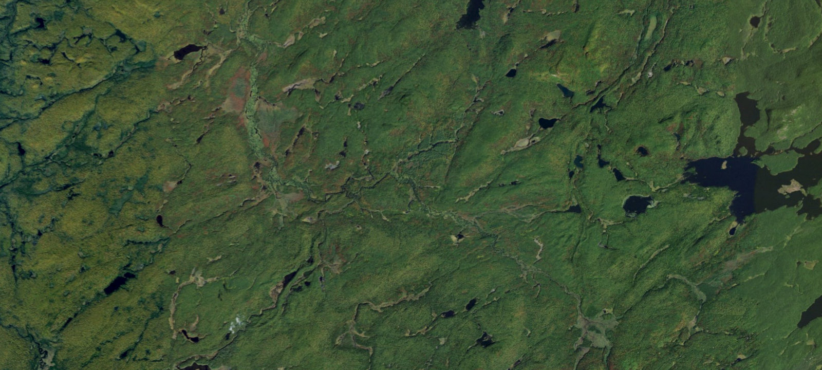 Map of Oswegatchie River Campsite 19