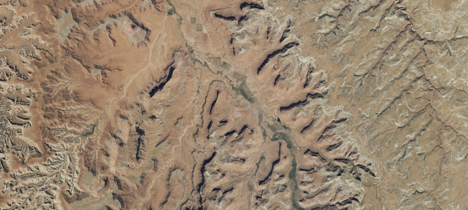 Map of Bridger Jack Designated Campsite #6