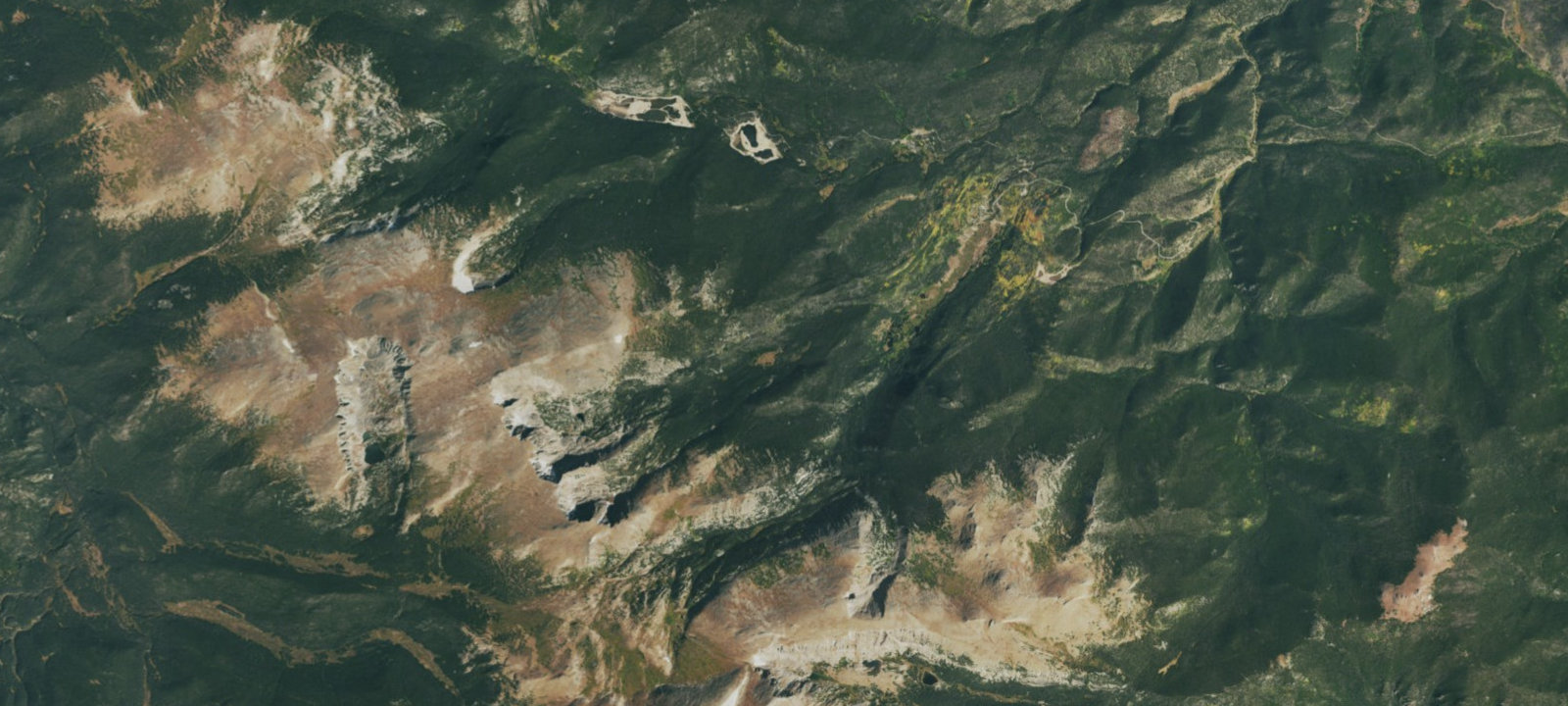 Map of 2 (Spruce)