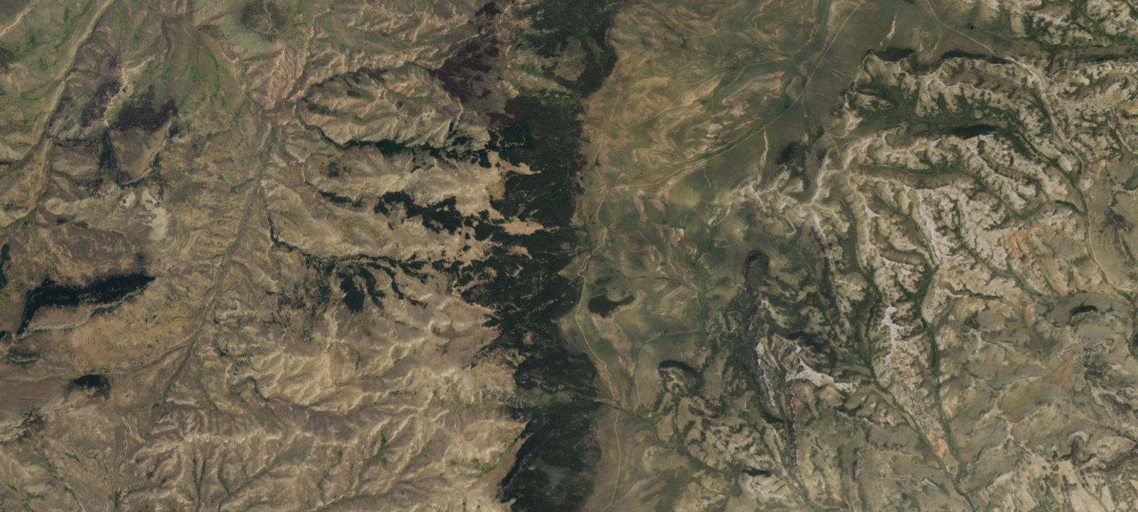Map of Grave Springs Campground