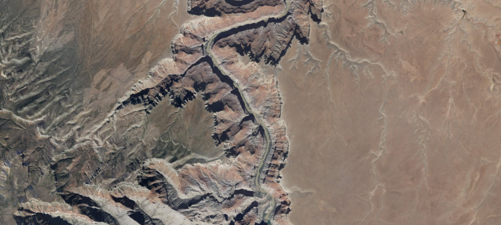 Map of Dinosaur Camp