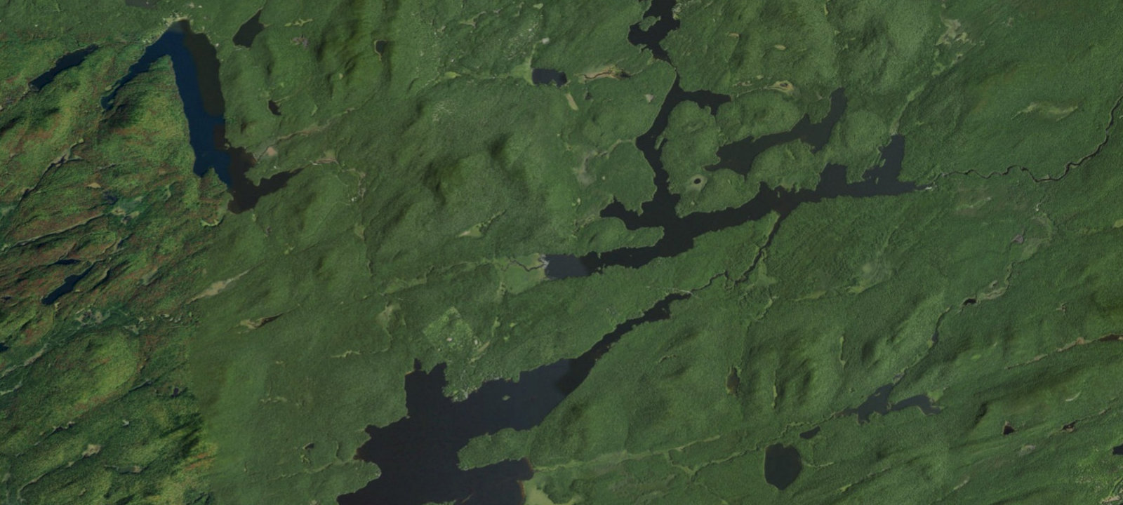 Map of Forked Lake West-end Campsite