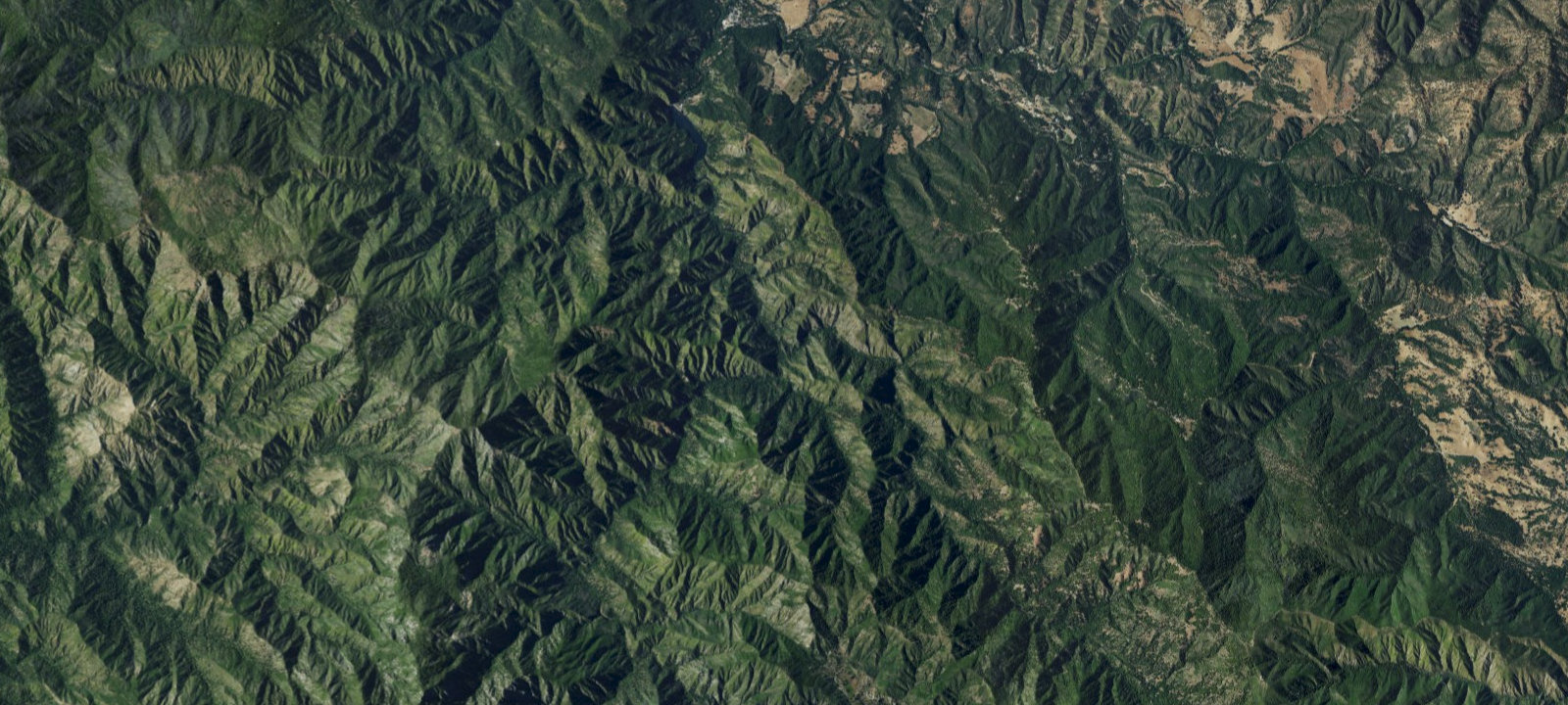 Map of Carmel River Camp