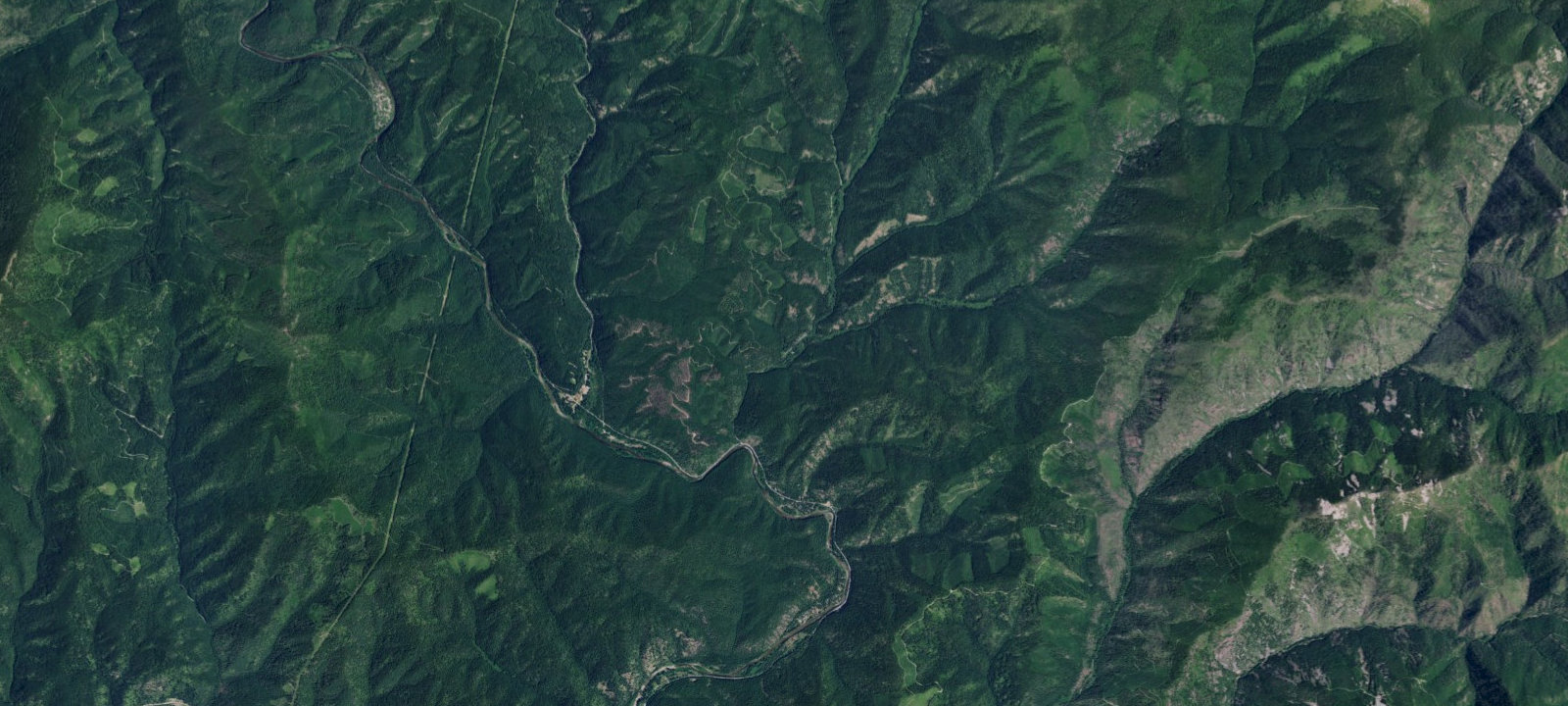 Map of Fire Prev. Disp. Site #155