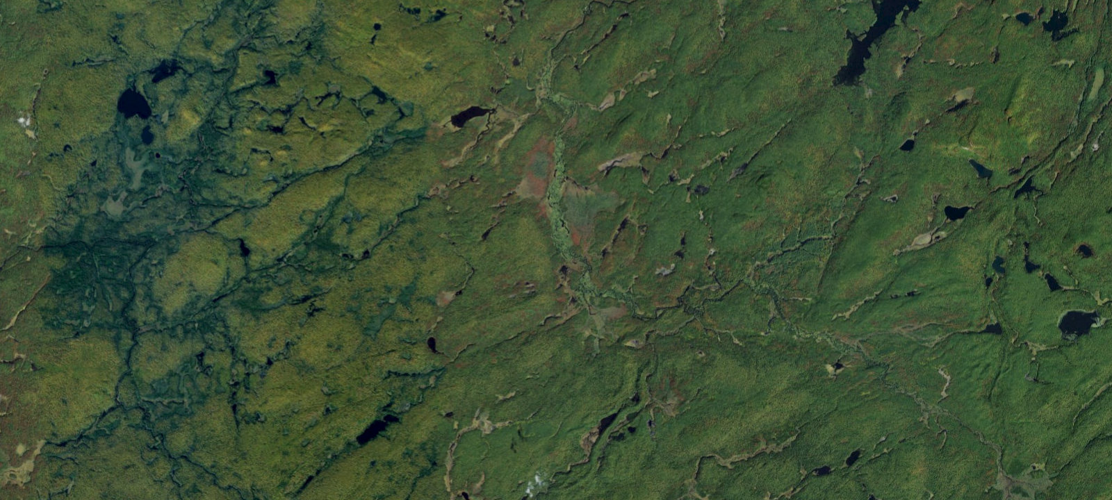 Map of Oswegatchie River Campsite 37