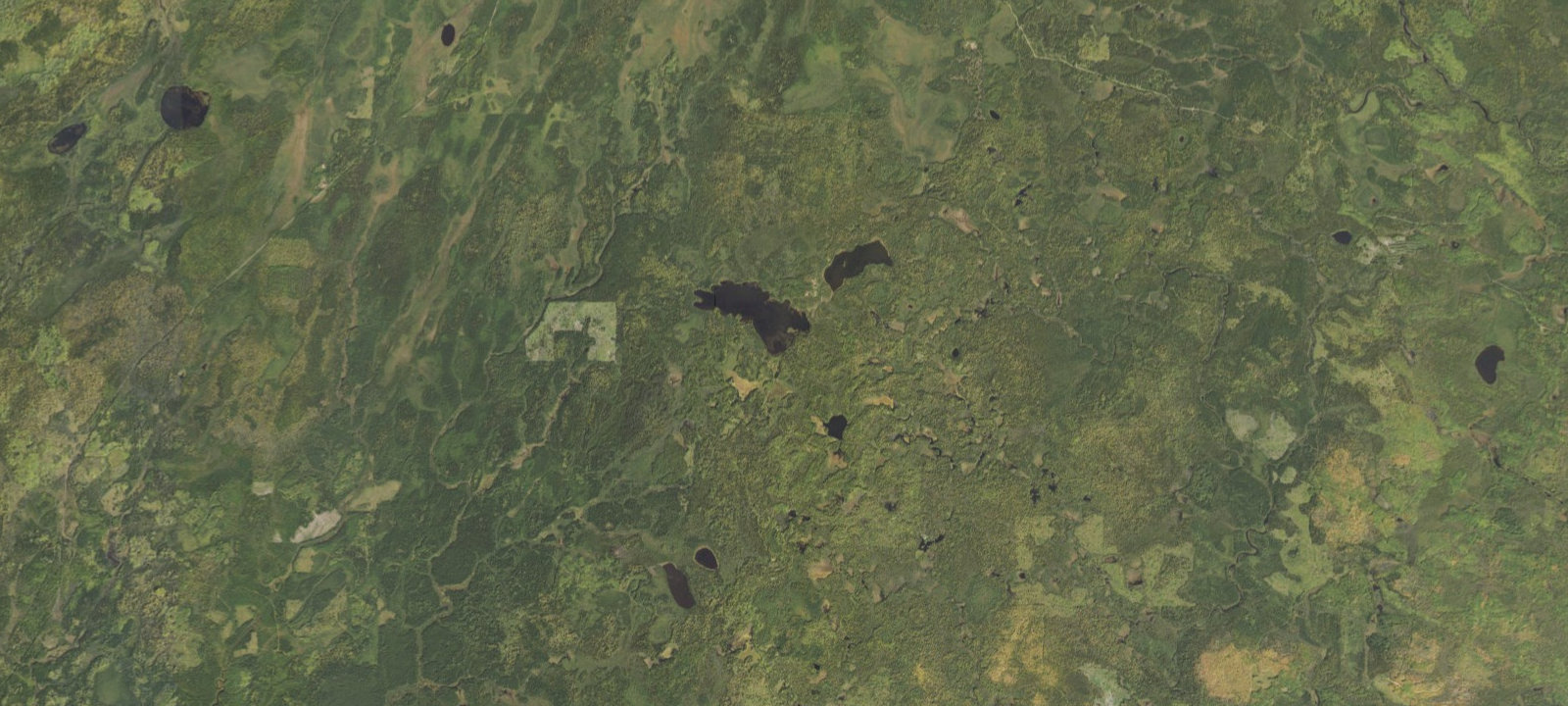 Map of Cloquet Lake Site 1