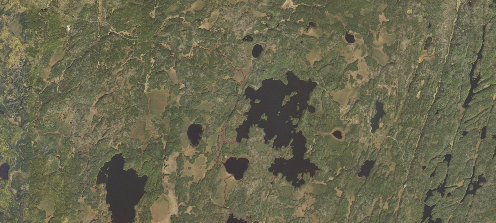 Map of Big Lake Site 1