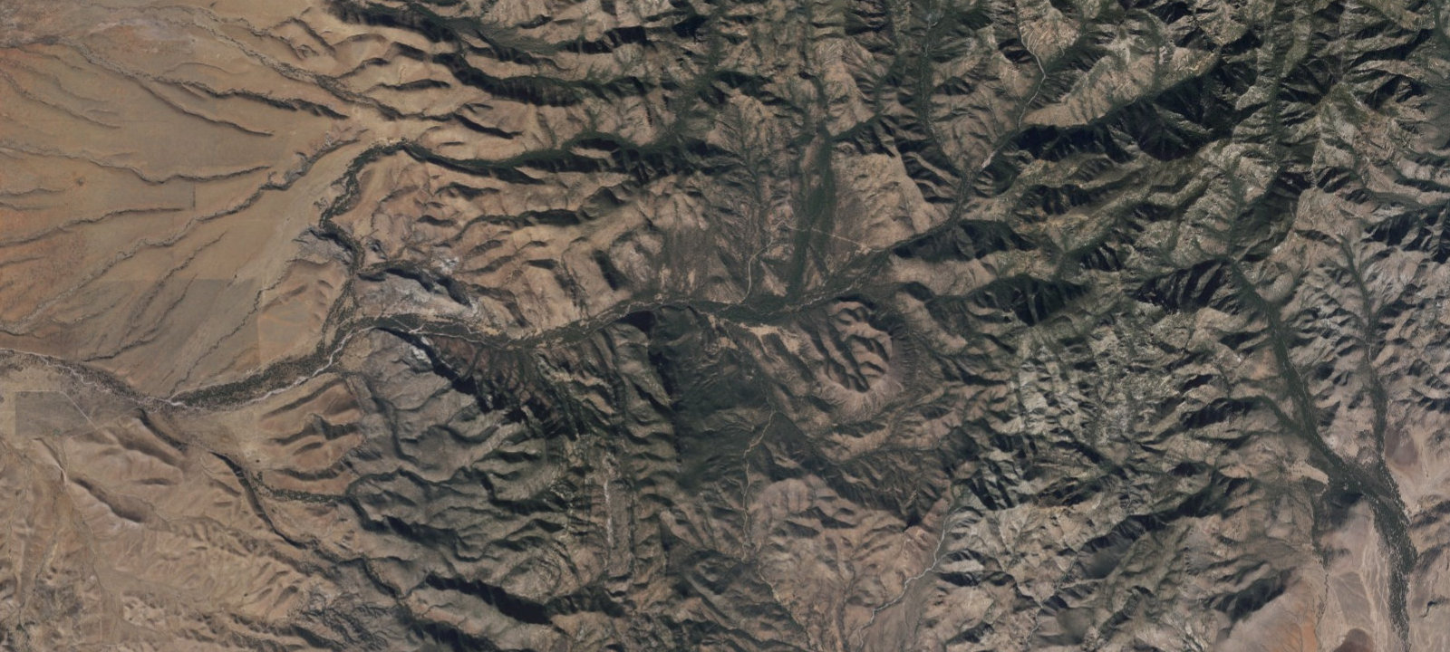 Map of Camp Rucker Group Site