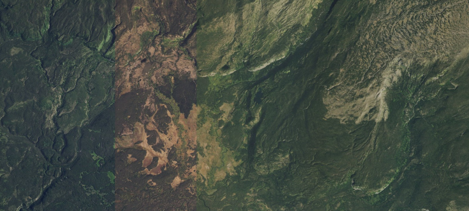 Map of Trail Spring
