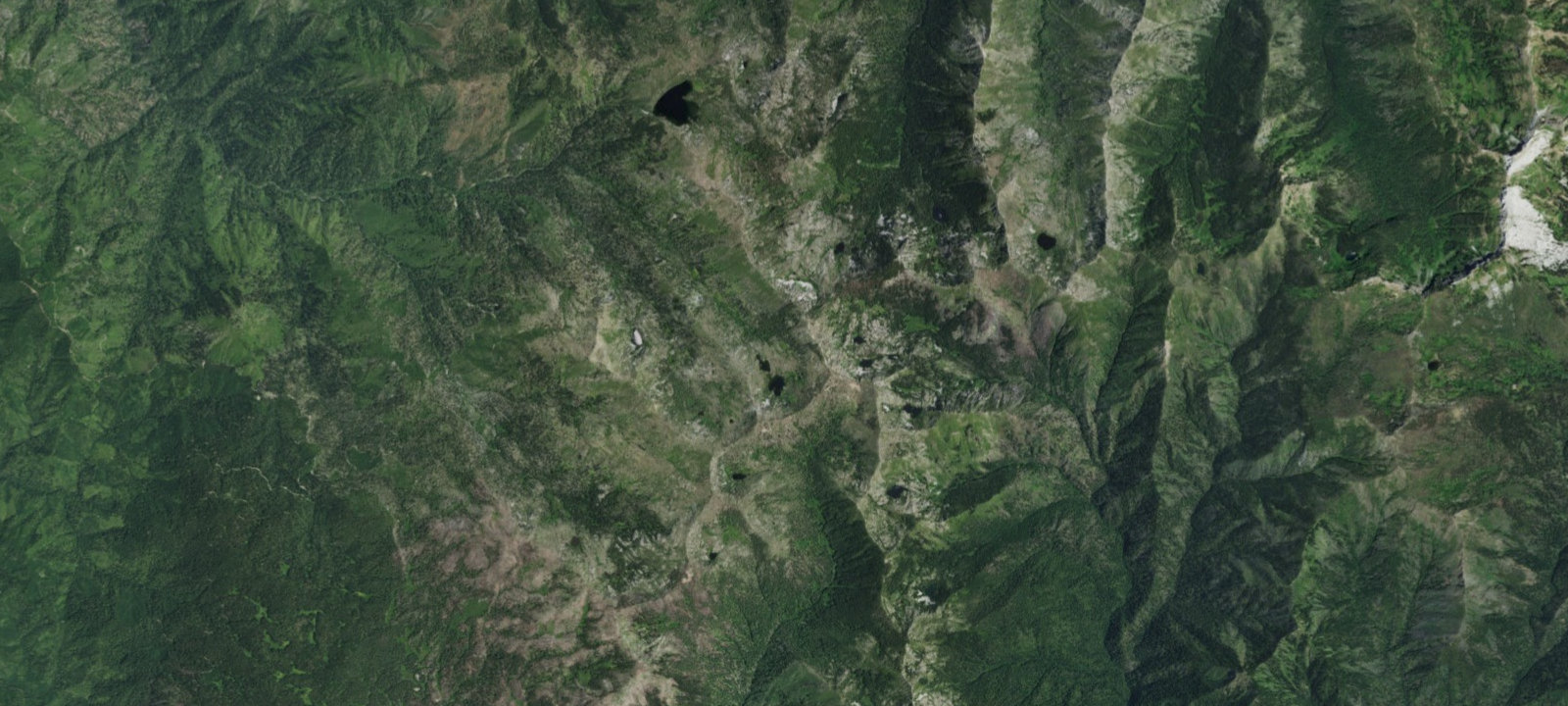 Map of stock camp
