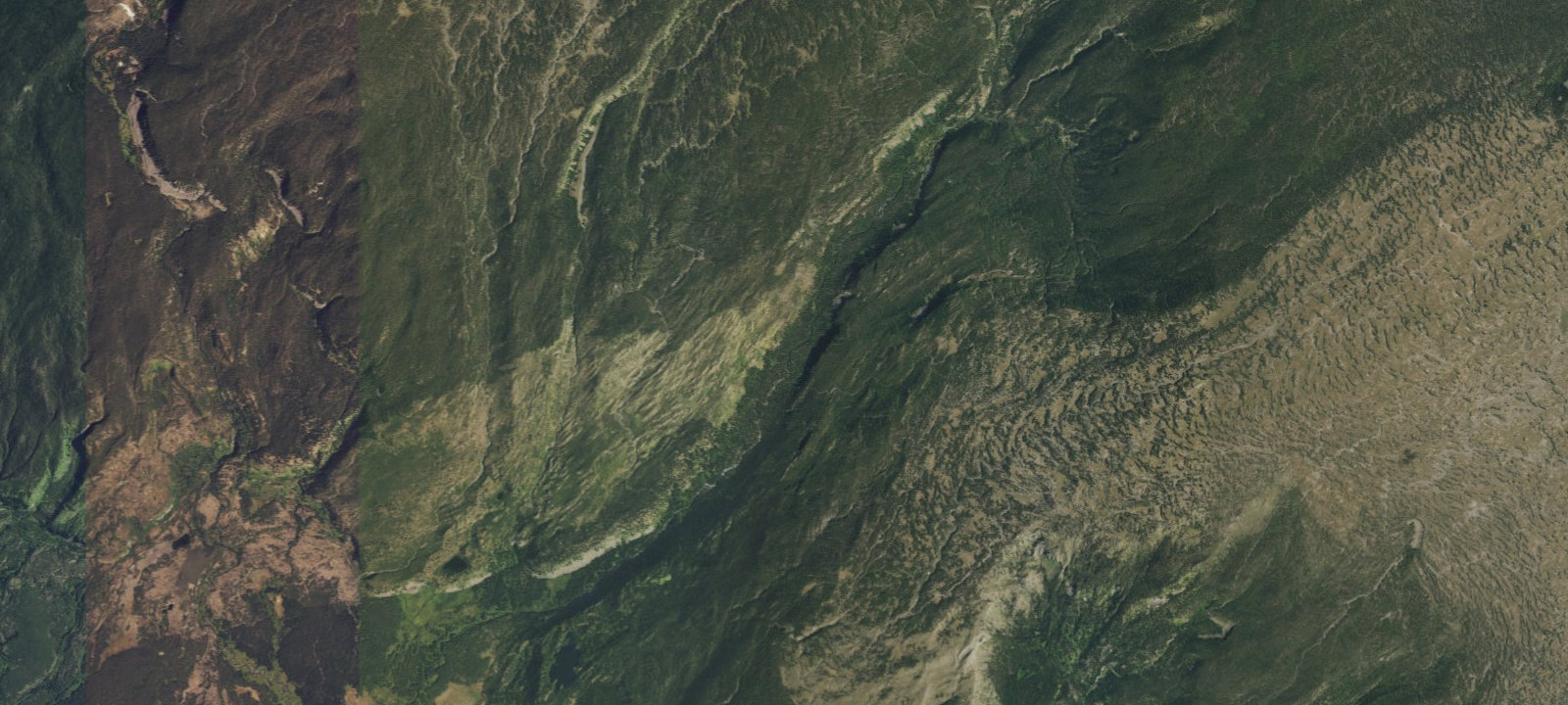 Map of Talus Spring