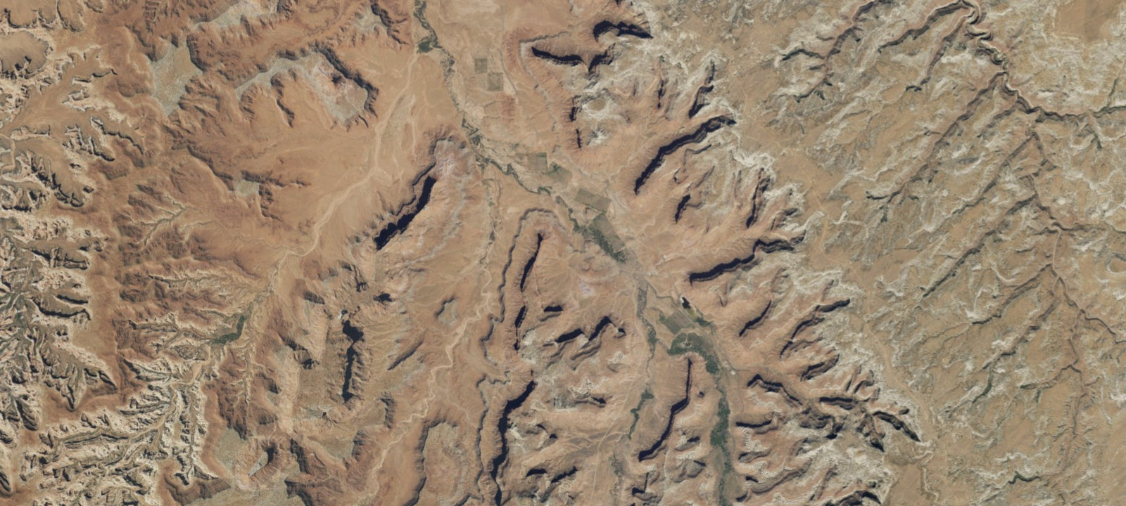 Map of Bridger Jack Designated Campsite