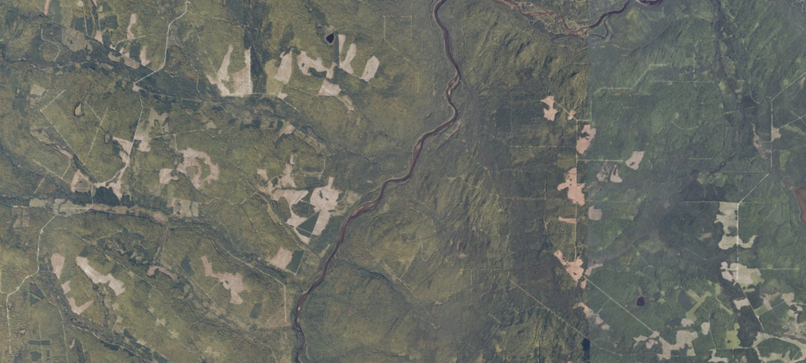 Map of Bass Brook (1)