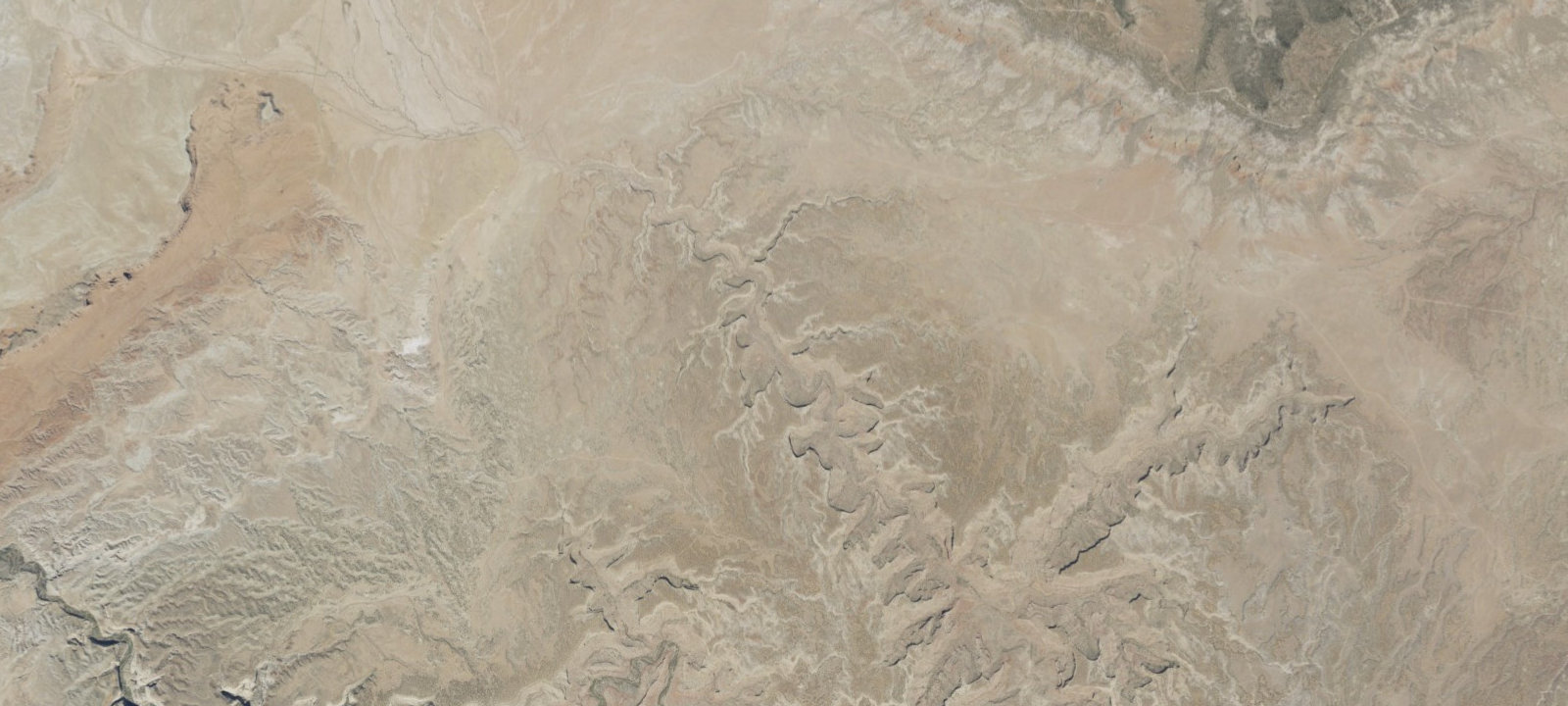 Map of Buckhorn Draw site 15