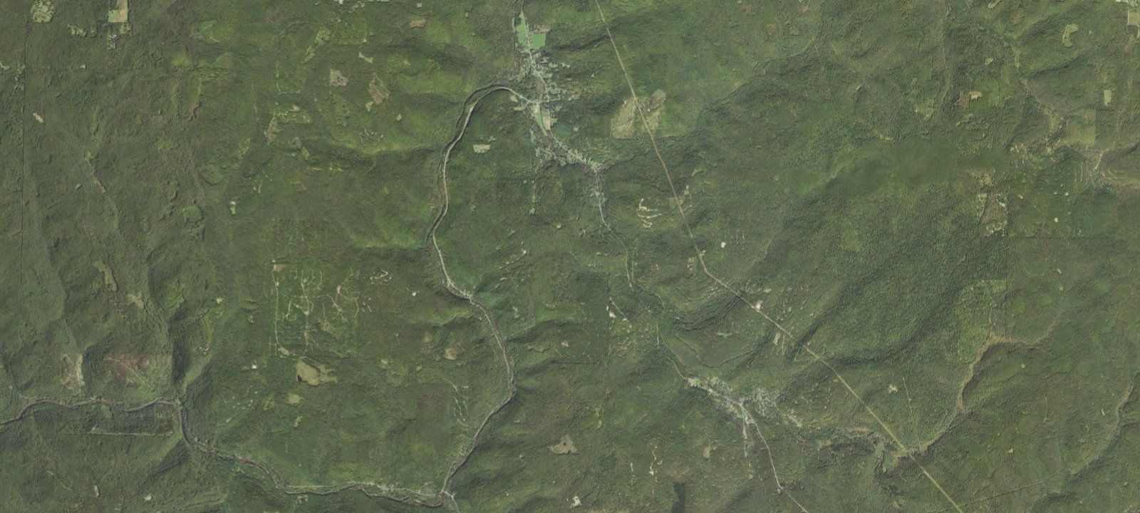 Map of Caterpillar Tree Campsite