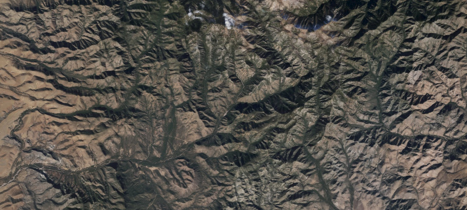 Map of Rucker Forest Camp