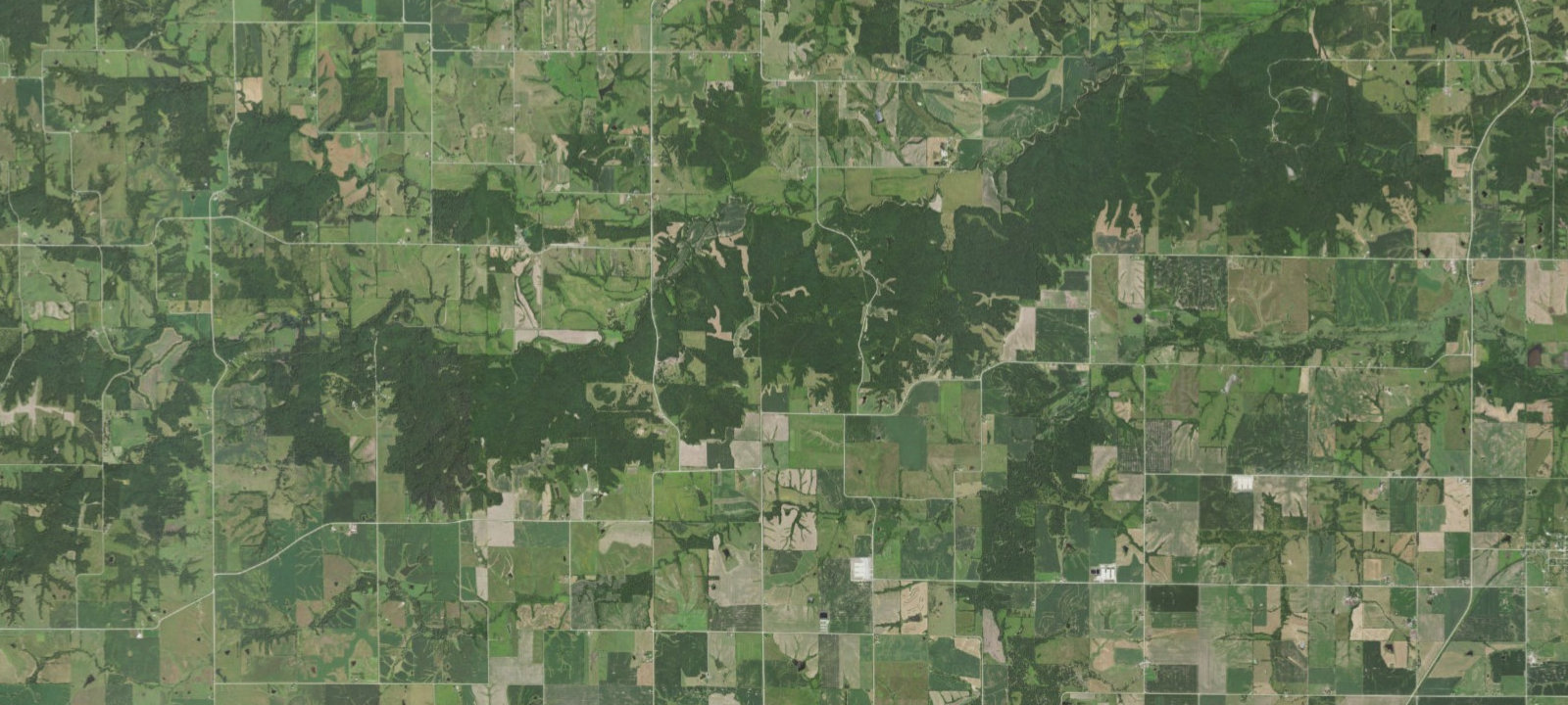 Map of Buck Stop Camp