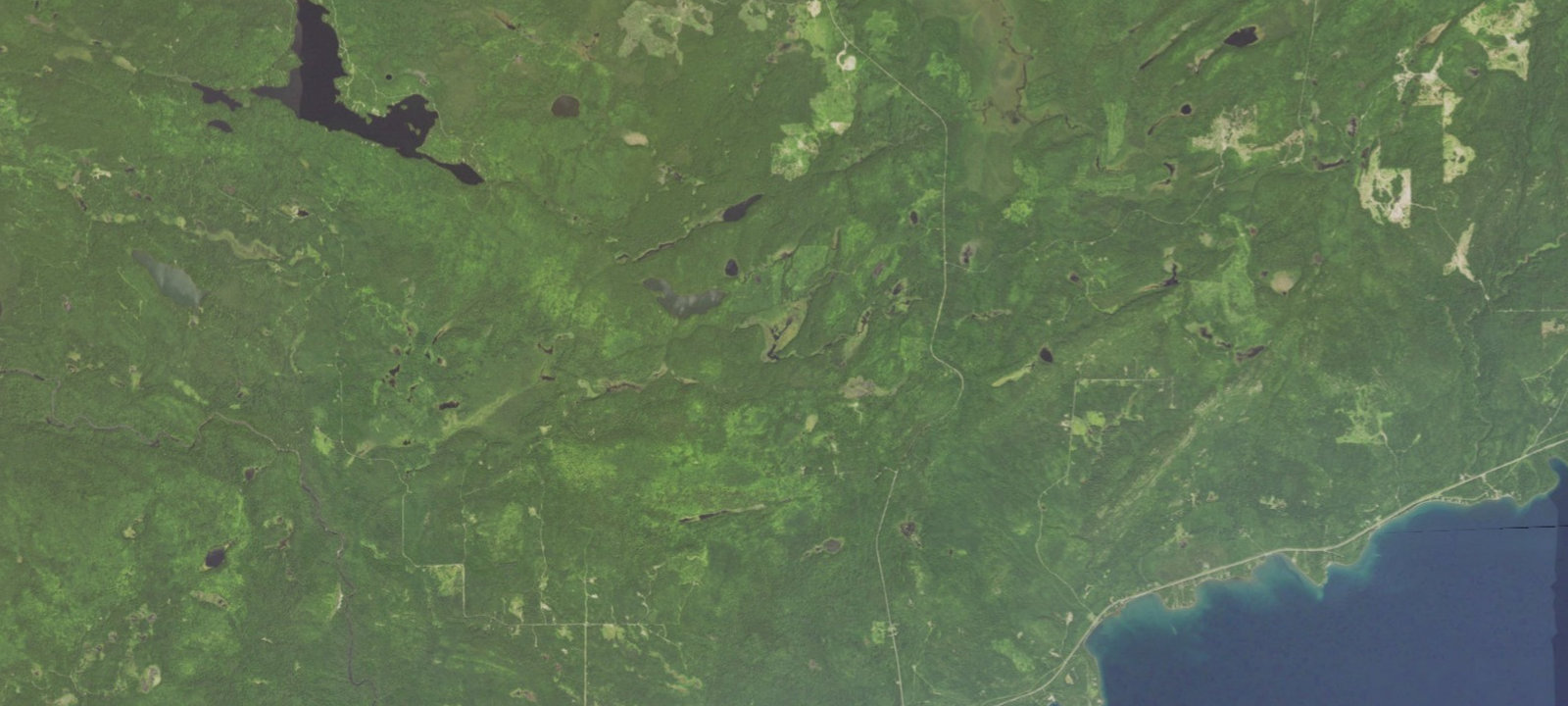 Map of South Carlson Pond