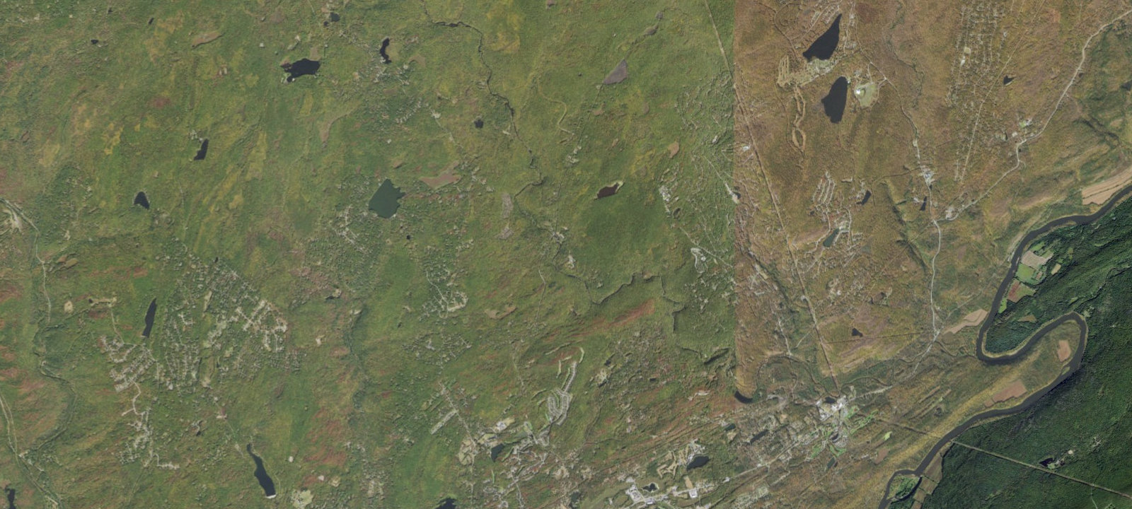 Map of Cayuga