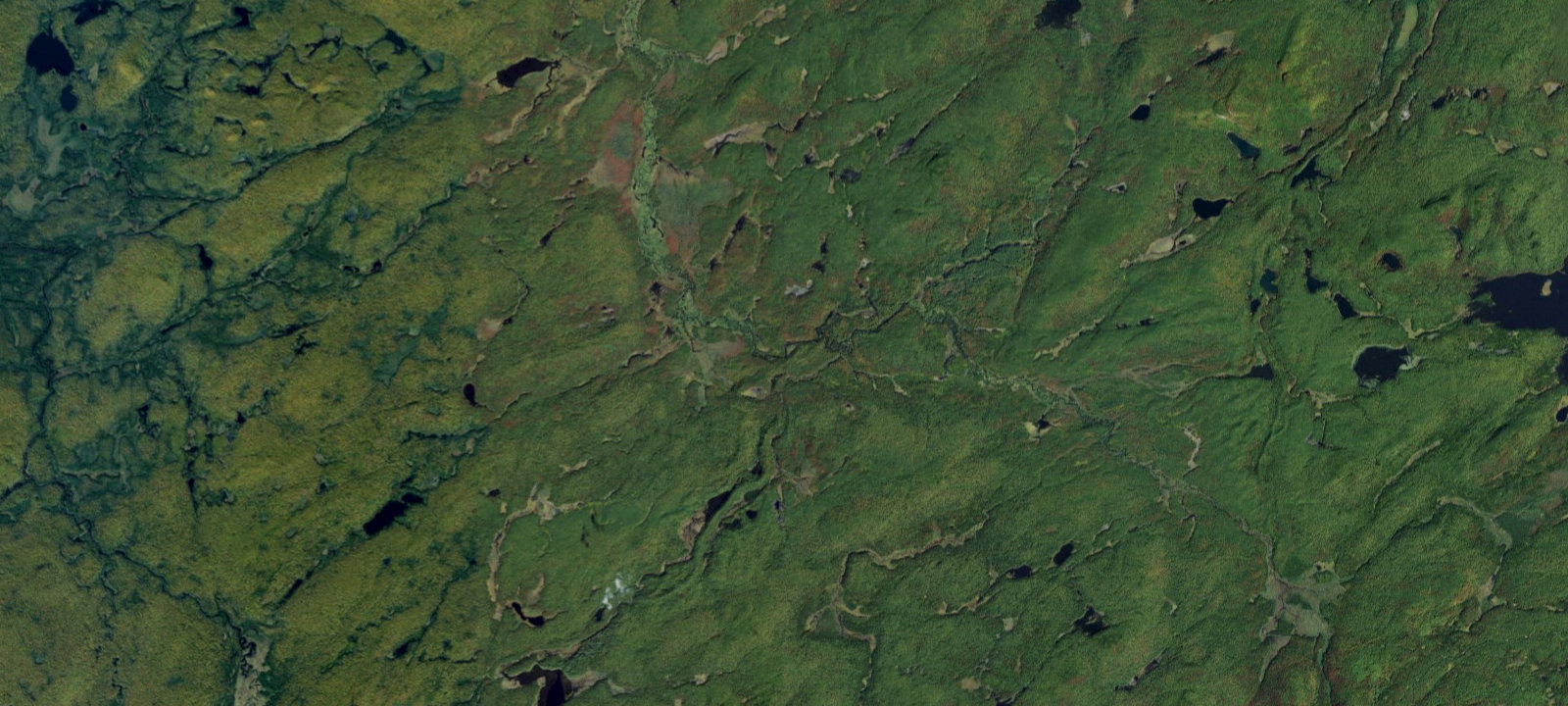 Map of Oswegatchie River Campsite 29