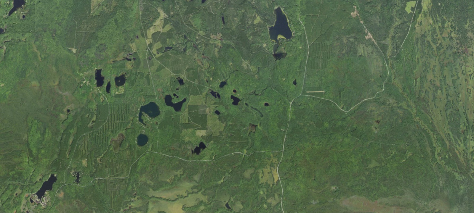 Map of Bear Lake Campsite