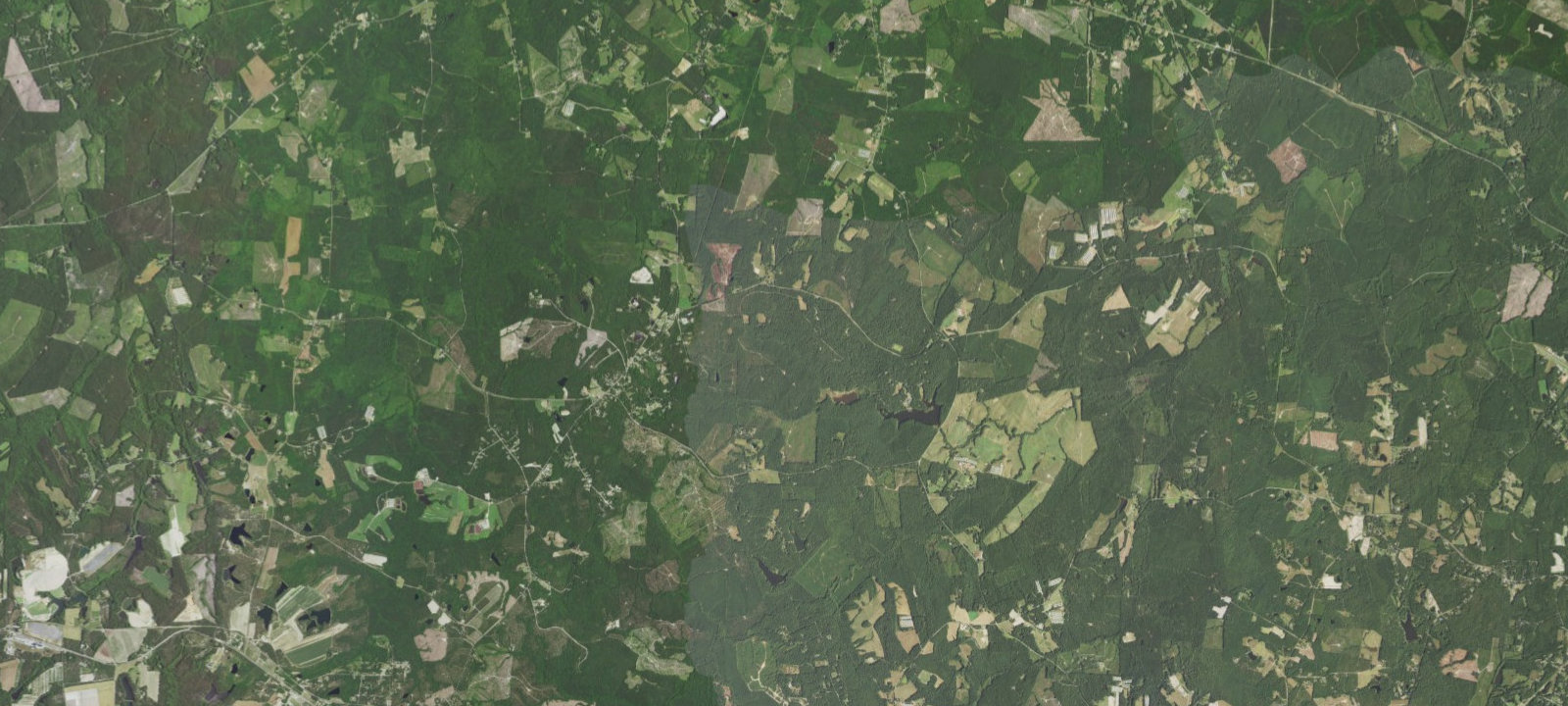 Map of Camp Reeves