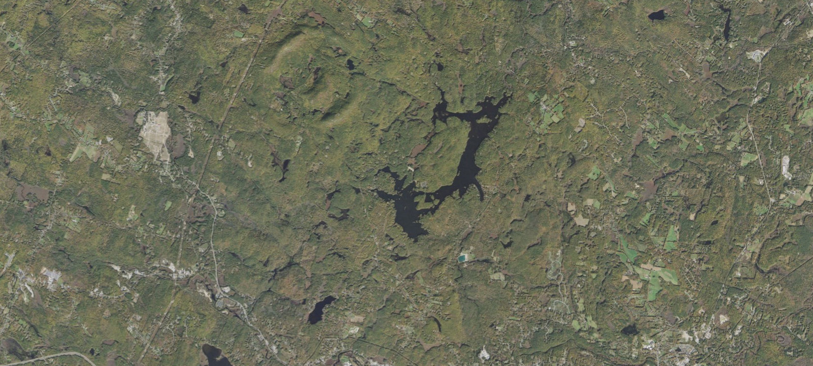 Map of Neal's Cove