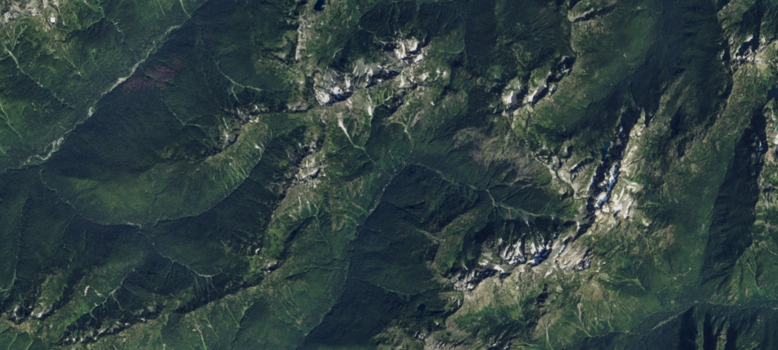 Map of Nine Stream Camp