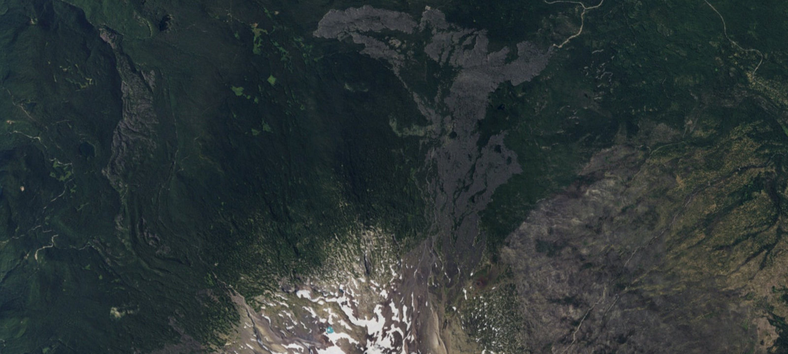 Map of Green Timber Camp
