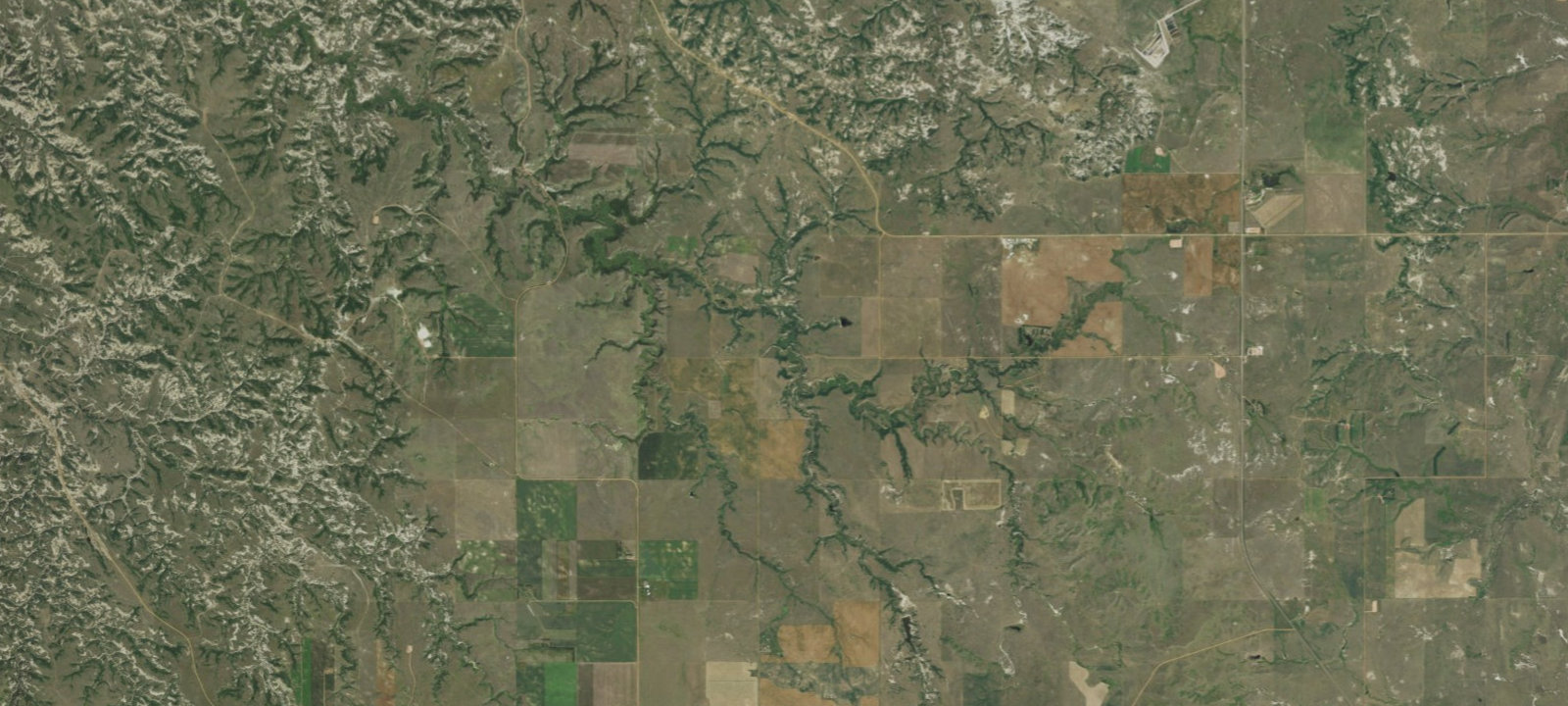 Map of Whitetail