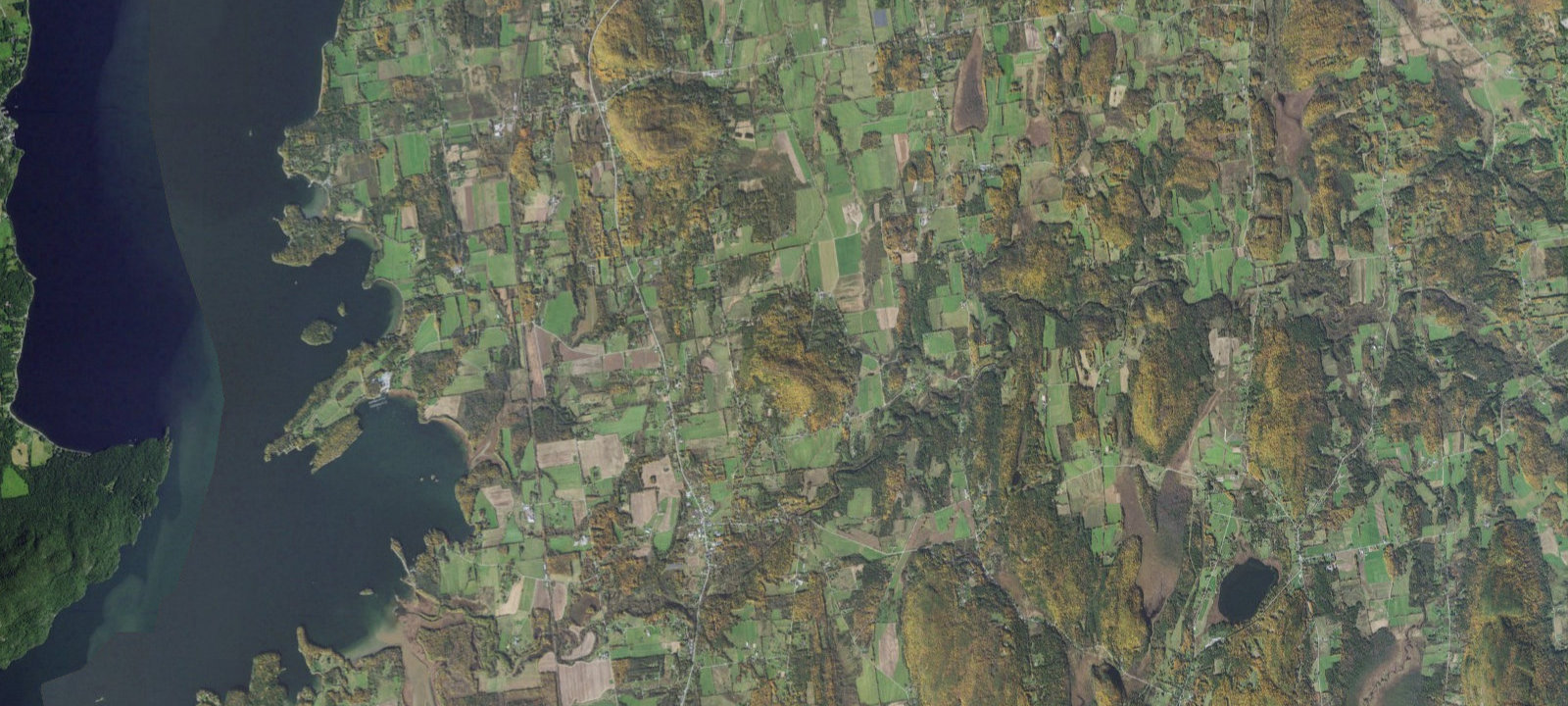 Map of site 7