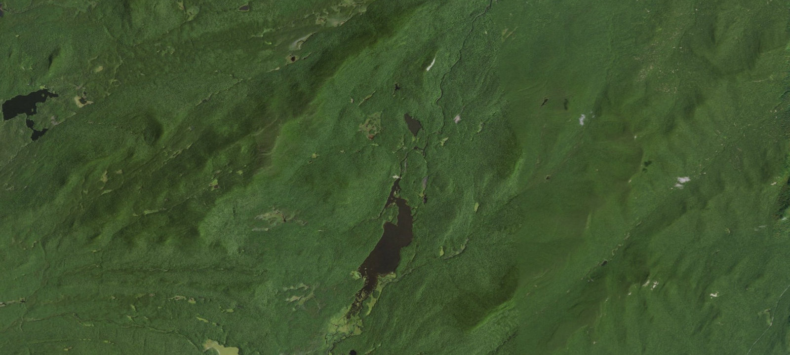 Map of Cedar River Campsite