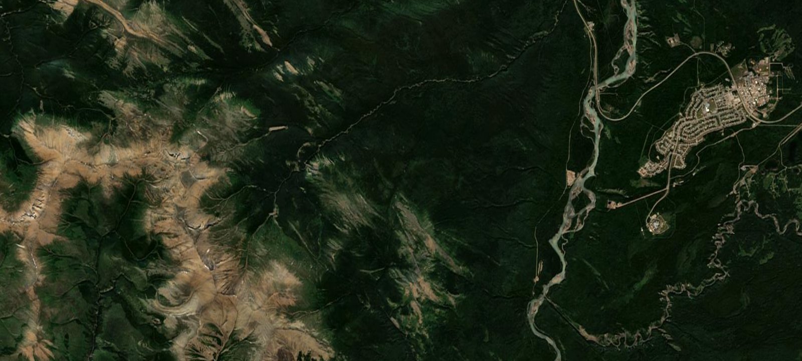 Map of Tree Camp