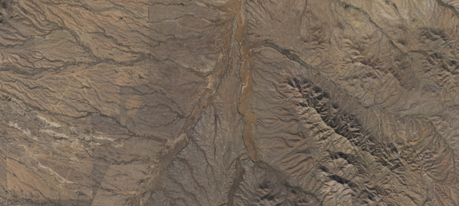 Map of Campsite #29