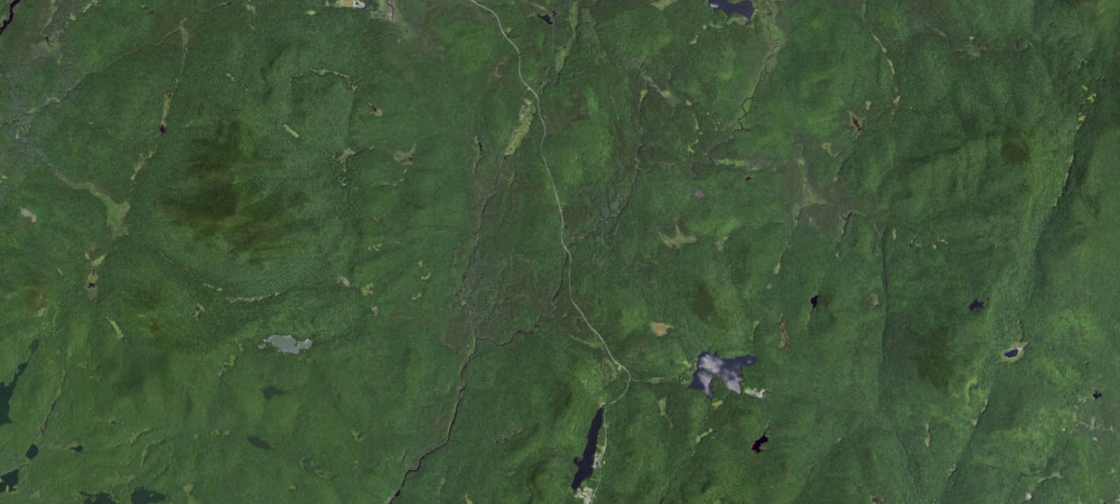 Map of Site 1