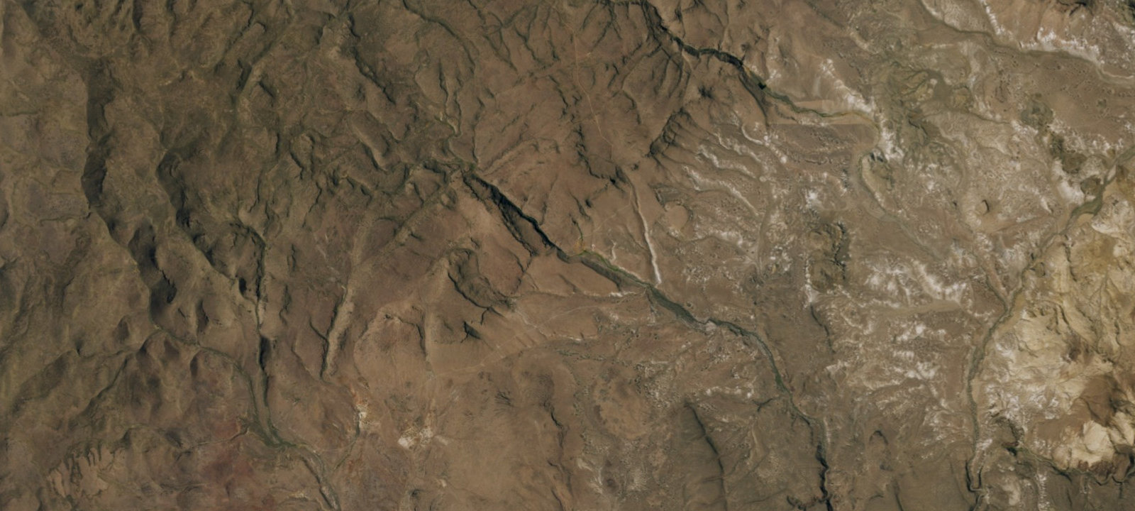 Map of Steven's Camp