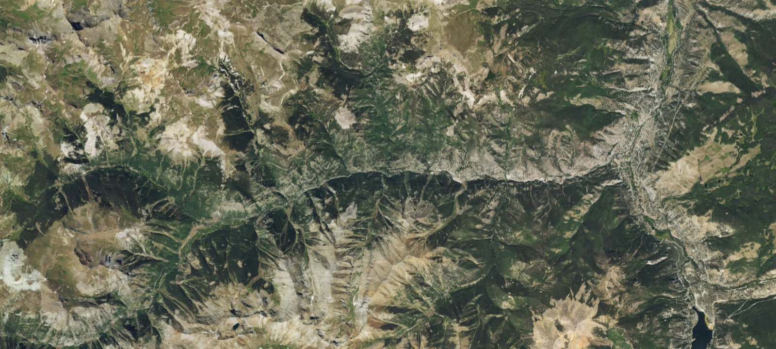 Map of Nellie Creek Site 1