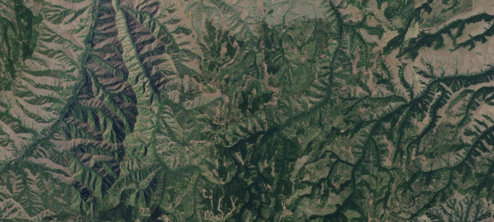Map of Alder Thicket