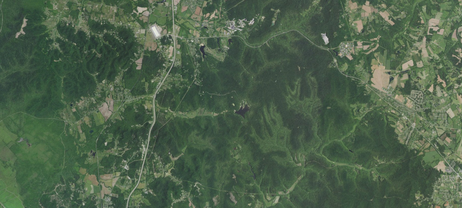 Map of Site 8
