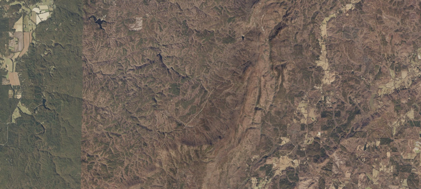 Map of Turnipseed Camp