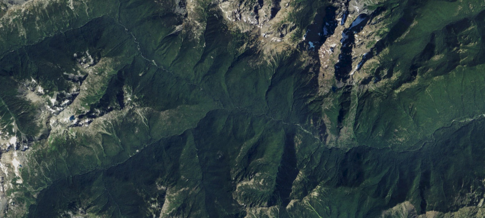 Map of Dose Forks