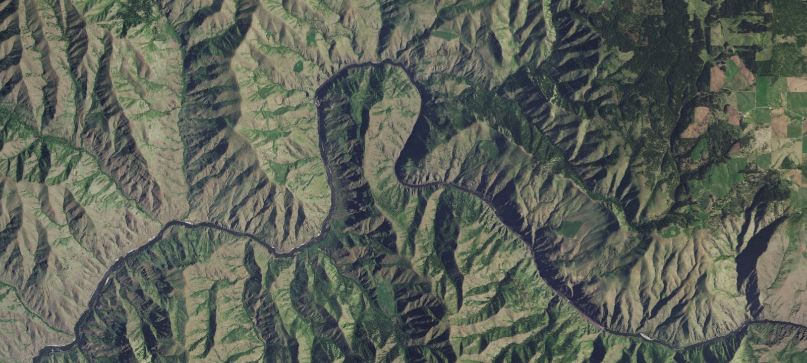 Map of Whale Rock Campsite