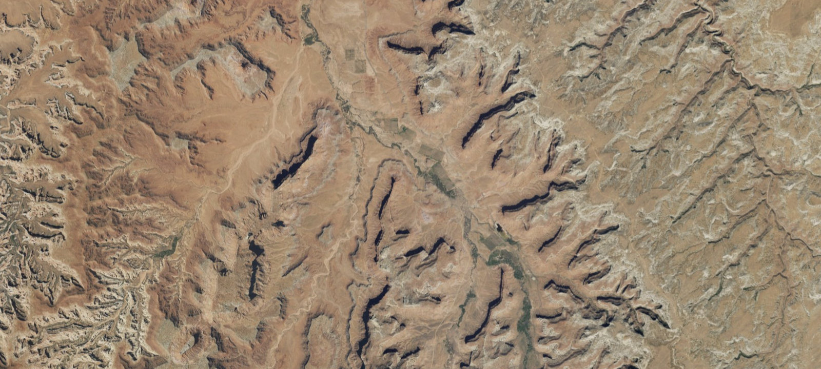 Map of Bridger Jack Designated Campsite #14