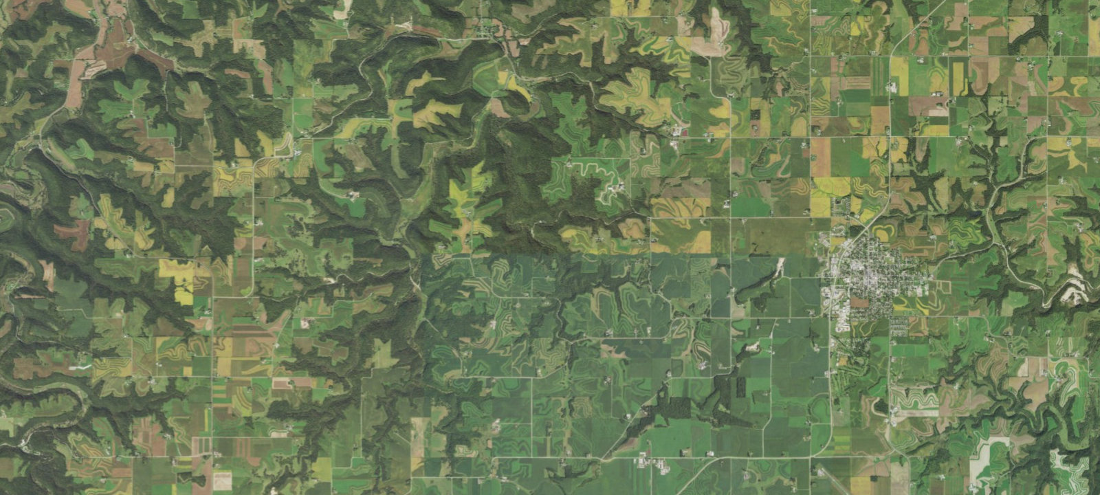 Map of Camper Cabin