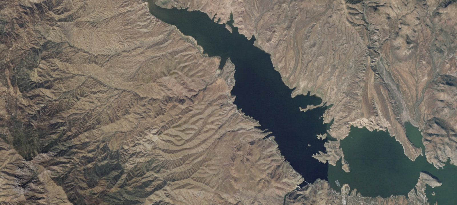 Map of Bachelor Cove