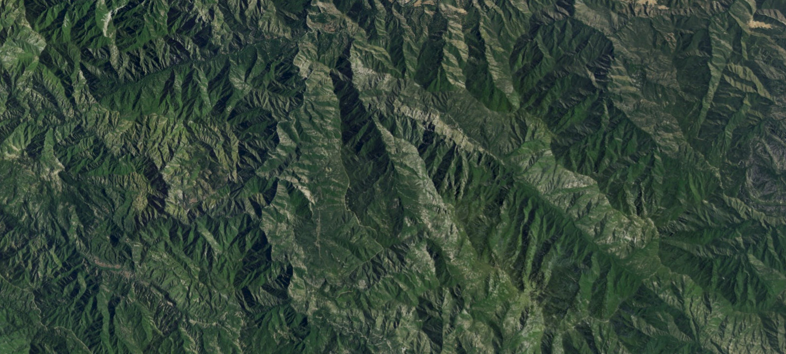 Map of Bluff