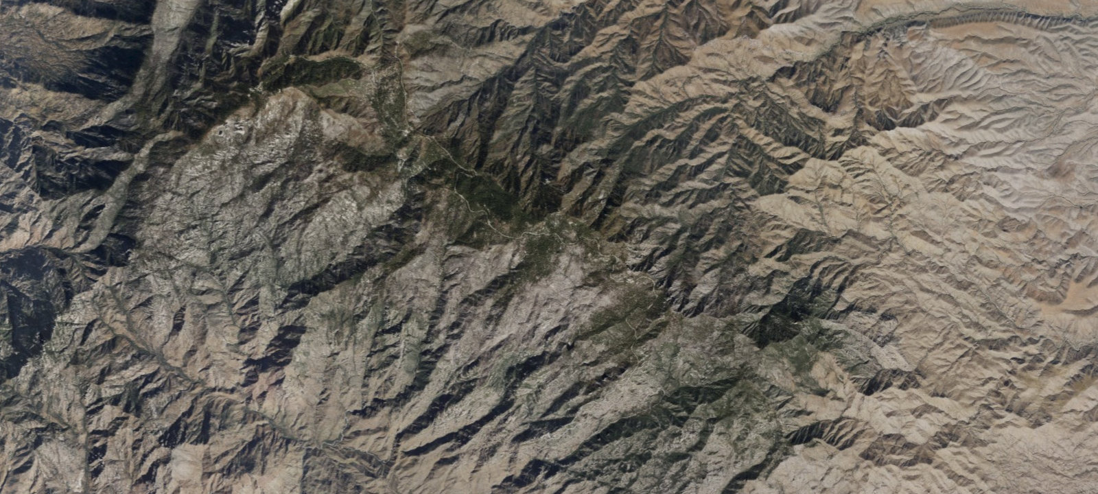 Map of Camp Lawton